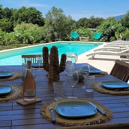 Olmeccia Piscine 14 M, Clim, Plein Sud * Porto-Vecchio (Corsica)